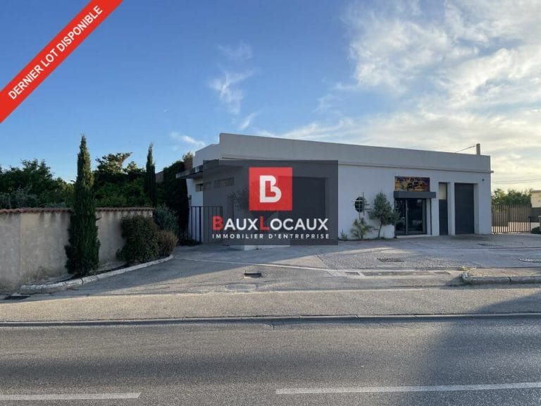 MIXTE ACTIVITES-BUREAUX à LOUER