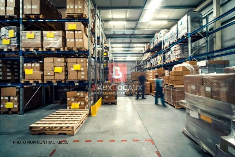 Entrepôt / Logistique & Locaux d'activité à louer à Salon-De-Provence de 300 m²