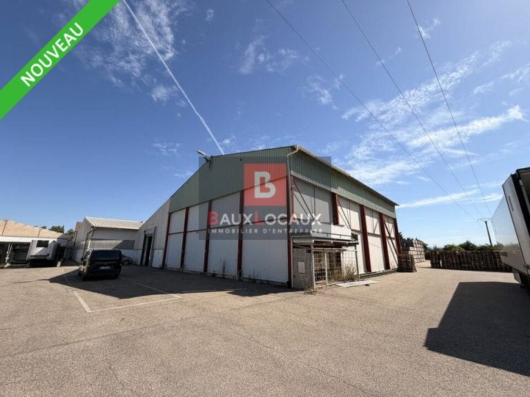 Entrepôt / Logistique & Locaux d'activité à louer à Cavaillon de 1176 m²