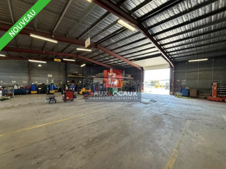 Entrepôt / Logistique & Locaux d'activité à louer à Vedène de 587 m²