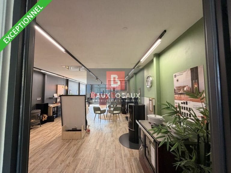 Locaux commerciaux à louer à Vedene de 260 m²