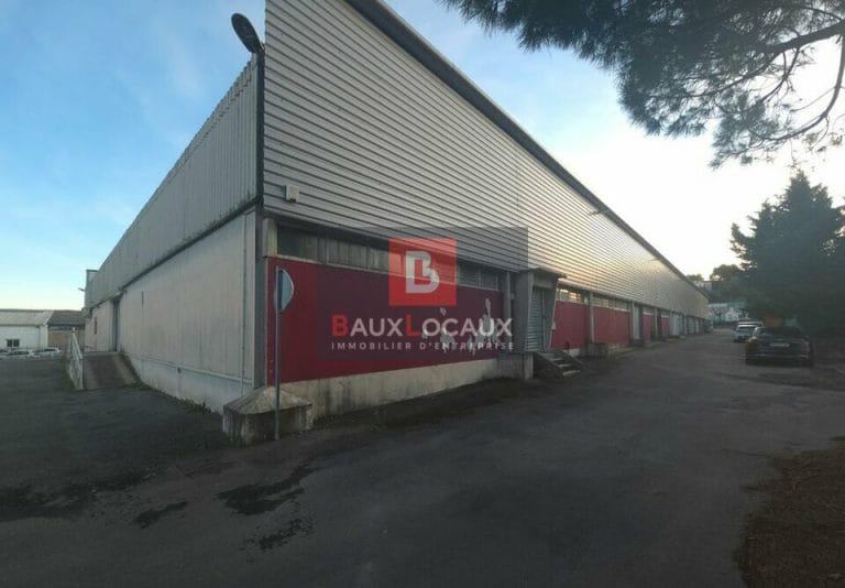 MIXTE ACTIVITES-BUREAUX à LOUER