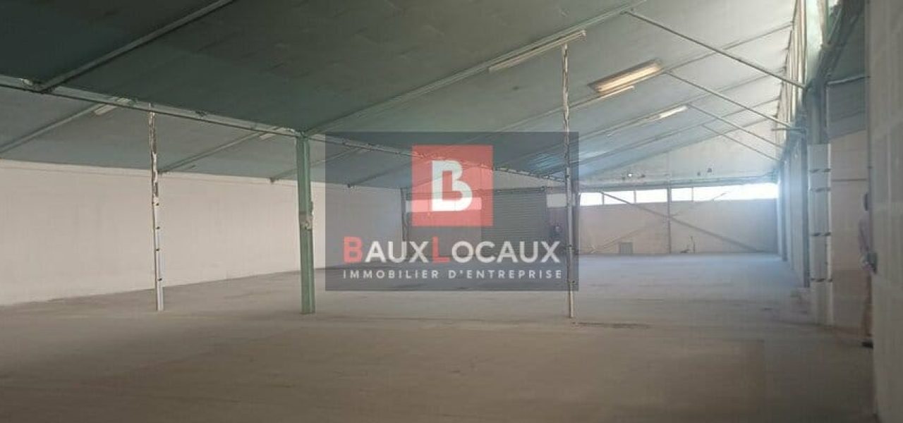 MIXTE ACTIVITES-BUREAUX à LOUER — photo 3