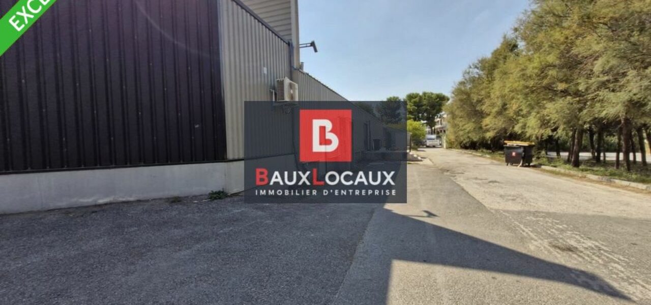 Locaux commerciaux à louer à Chateauneuf Les Martigues de 762 m² — photo 8