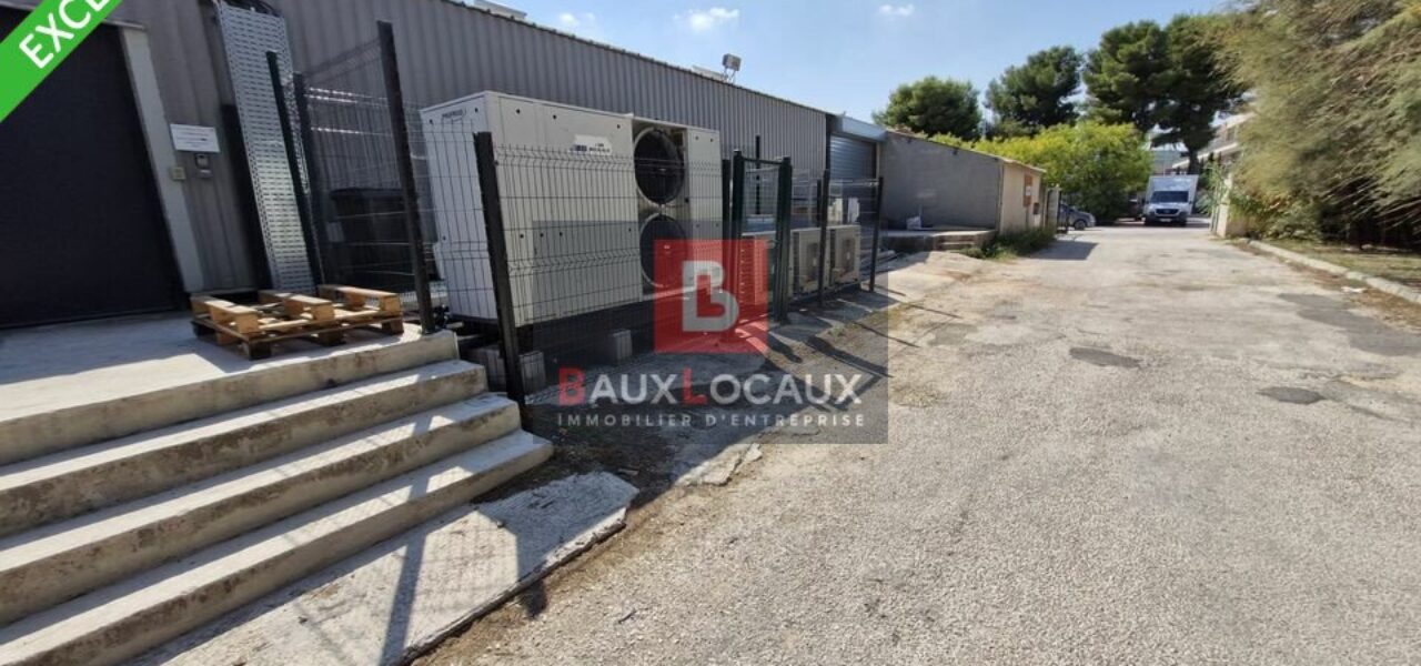 Locaux commerciaux à louer à Chateauneuf Les Martigues de 762 m² — photo 9