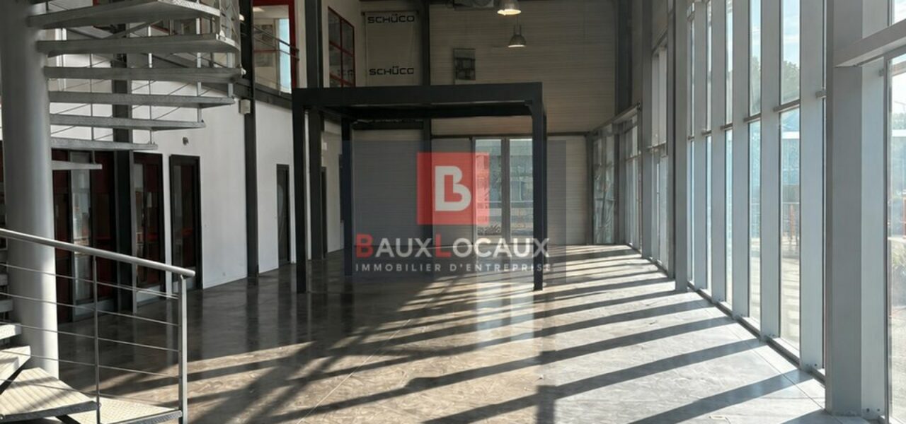 Entrepôt / Logistique & Locaux d'activité à vendre à Carpentras de 1600 m² — photo 6