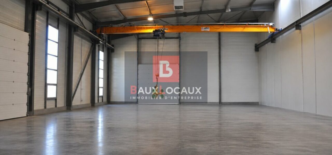 Entrepôt / Logistique & Locaux d'activité à vendre à Carpentras de 1600 m² — photo 3