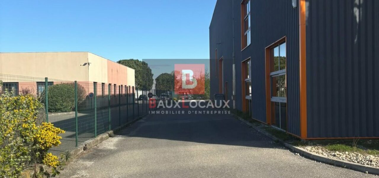 Entrepôt / Logistique & Locaux d'activité à vendre à Carpentras de 1600 m² — photo 2