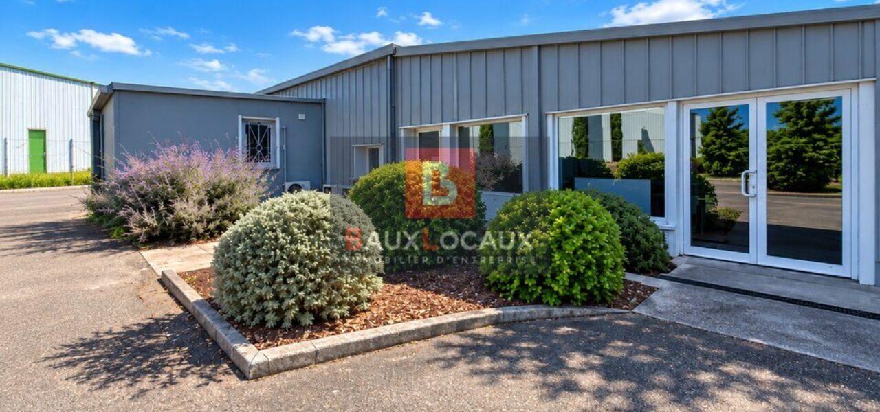 Bureaux à louer à Monteux de 271 m²