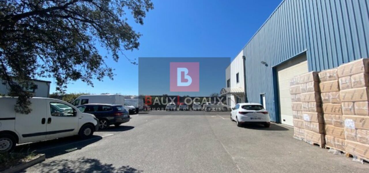 Entrepôt / Logistique & Locaux d'activité à louer à Vedene de 817 m² — photo 2