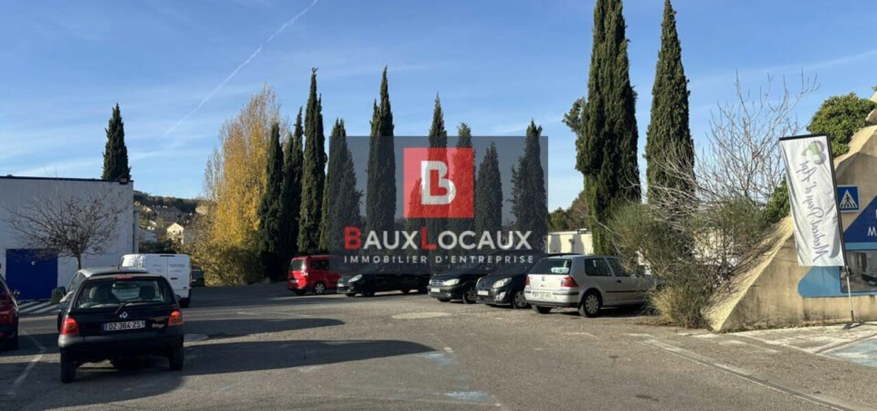 Locaux commerciaux à vendre à Apt de 254 m² — photo 5